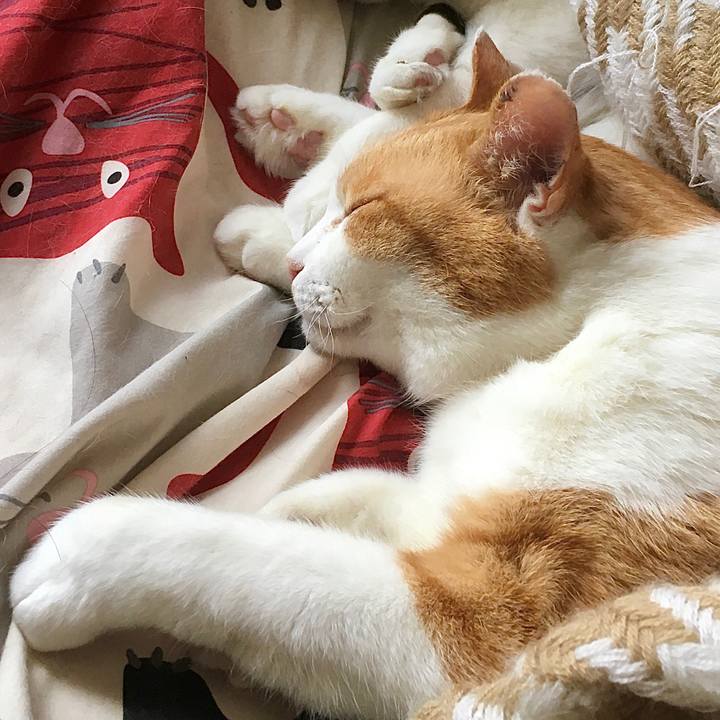 506affdc 0988 4853 a374 260455be9fb3 1587097015512