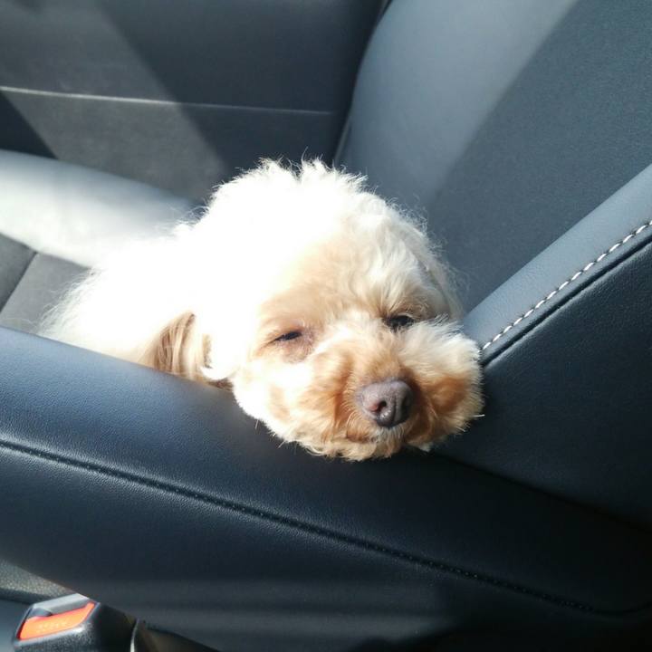 506b155c 99fc 4f63 9827 d3efcadf1d83 1522581655306