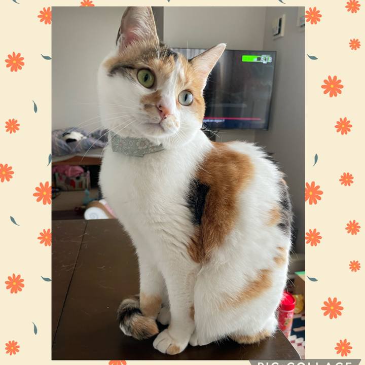 506b3d5d 25c0 4d2b a543 f1b98ae60e27 1684972046392