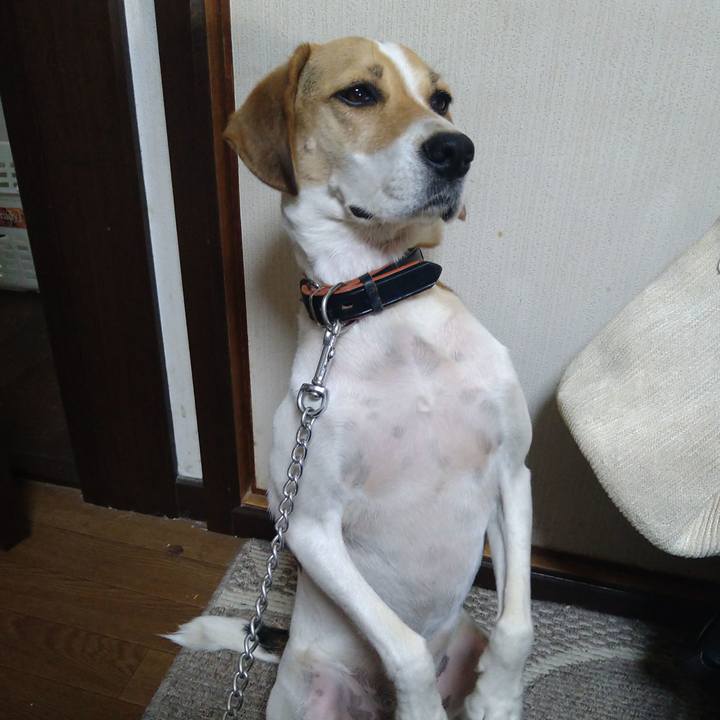 506b6f39 5496 486c b745 9ccc352bcdff 1627287764869