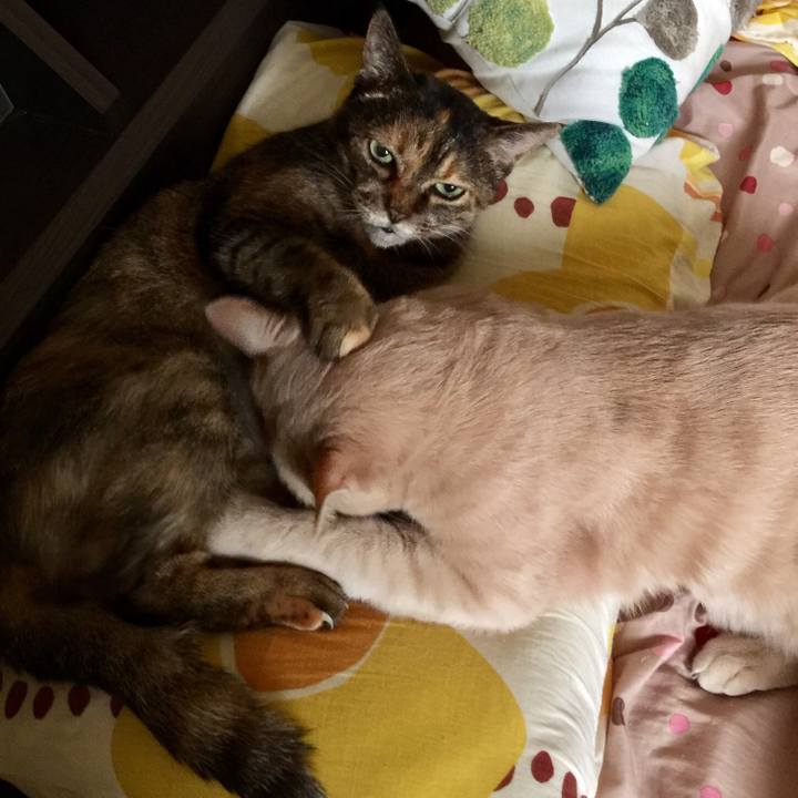 506bc8a6 0b03 40e4 9bc1 a11c03b637c2 1537050439559