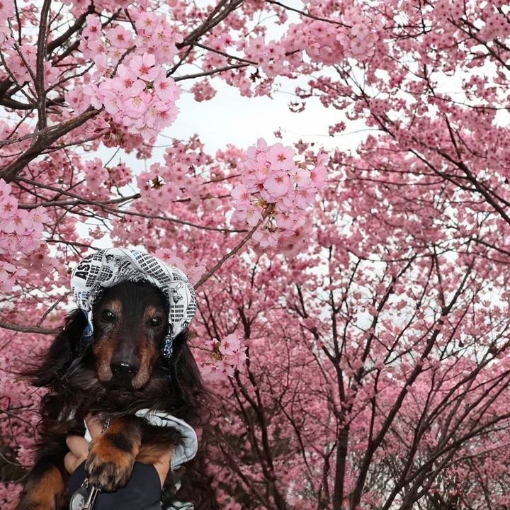 506bfde9 62c9 4c9c 8d32 27e8737cb3ae 1764138459150