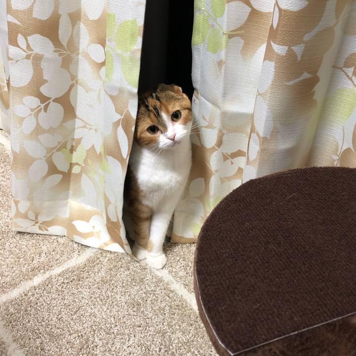 506c0fbc 127f 4edc bc80 b7a44d889b4d 1527419138707