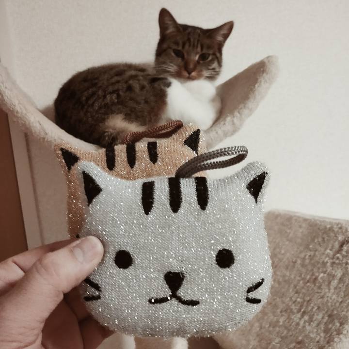 506c1617 b826 450e b7b2 c46d0fb8f55e 1642338640099