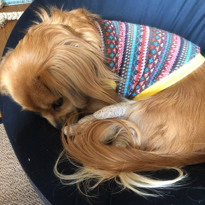 506c5a2c 6057 4b2e 9e02 8c06e888c496 1543149424996