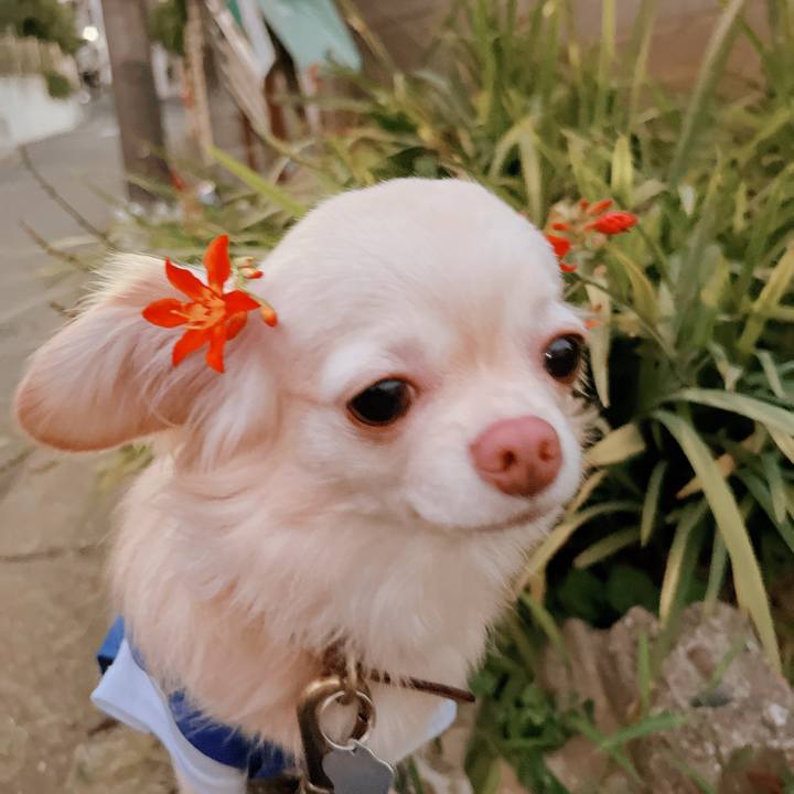 506c8179 ed27 4957 b9ce f186887541f3 1658826874701