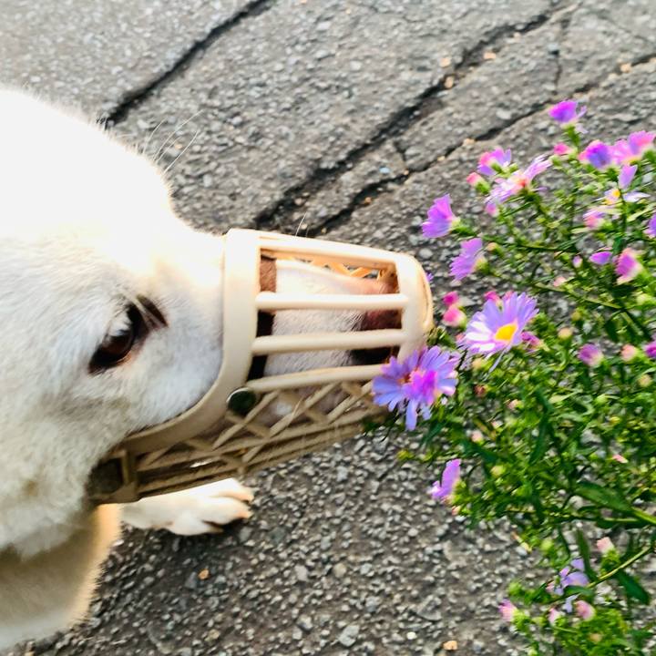 506c8401 ae4e 4b46 9b9d 090e0f97c72f 1664053437660