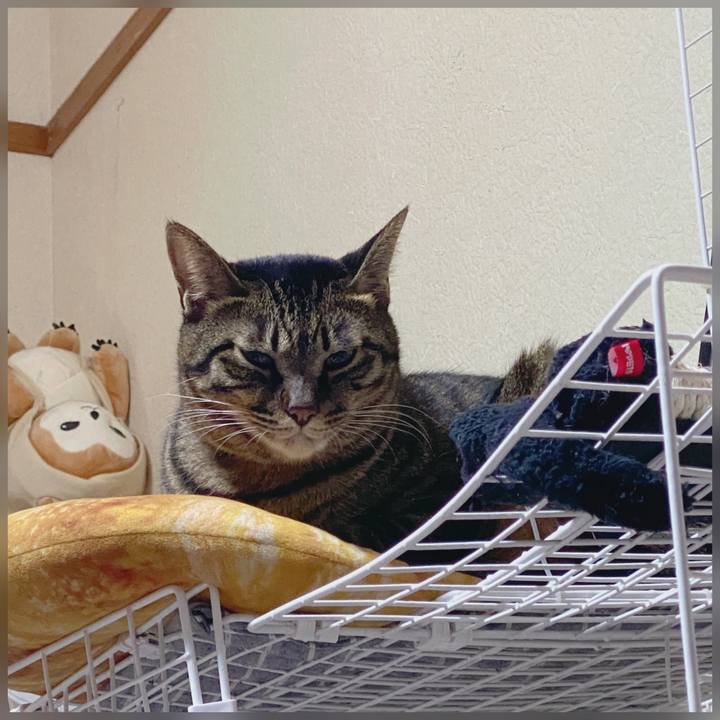 506cade6 a241 4c05 a85d f09065e9fdac 1601912190230