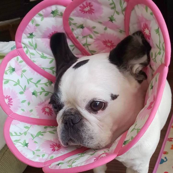 506ccead 6355 47f1 9594 5a3ba0e4f68b 1647314736939