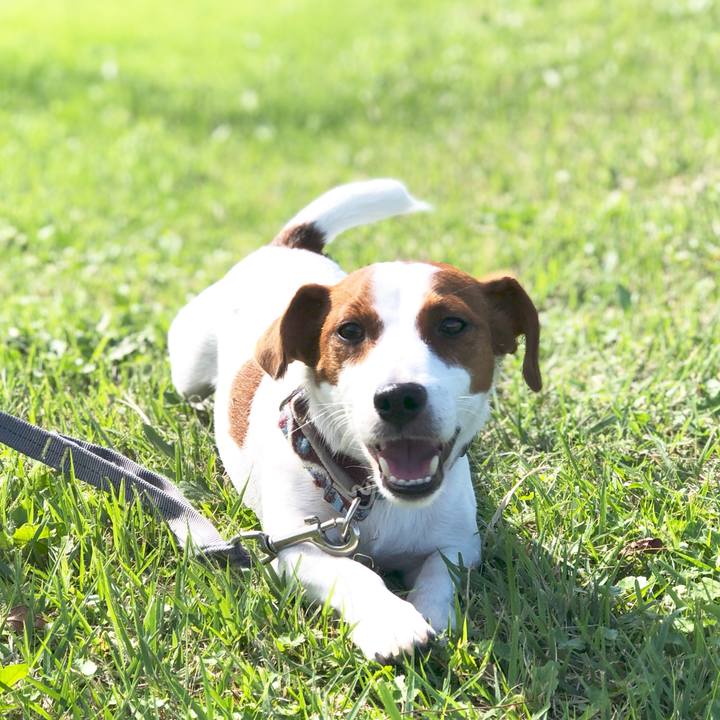 506ce39a 48b6 4683 9c98 6a5219973b75 1539401979311