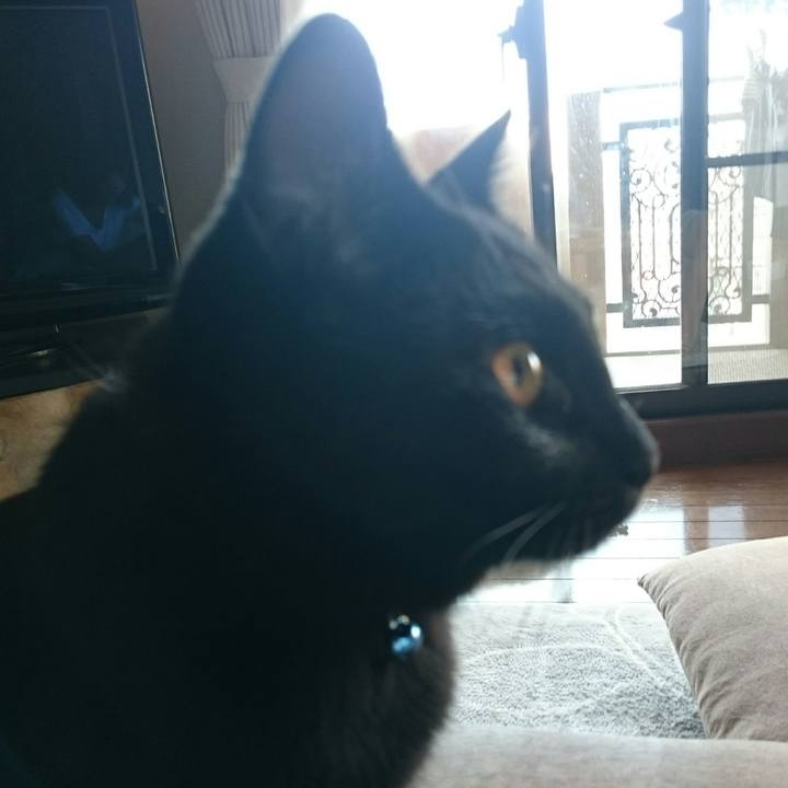 506d26bb 24a6 4198 af94 148c04ce164d 1510013068642