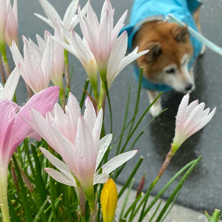 506d37e6 780d 4a60 8bc2 f1025547c910 1725340816087