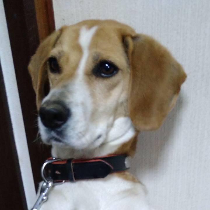 506d844d d028 42c7 b601 de219fc1cfa7 1621432228788