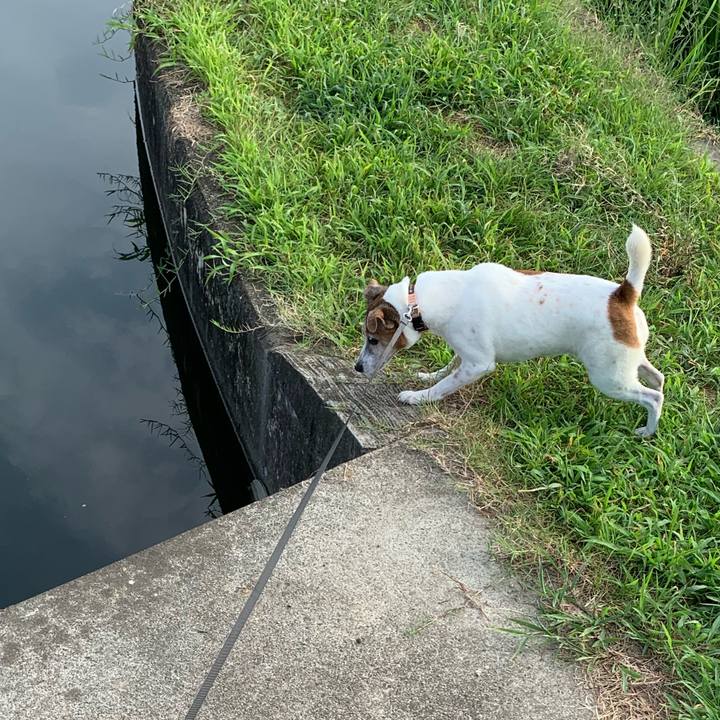 506db3ca 2e5f 43c2 bedb 0f4a1222ed71 1596923675930