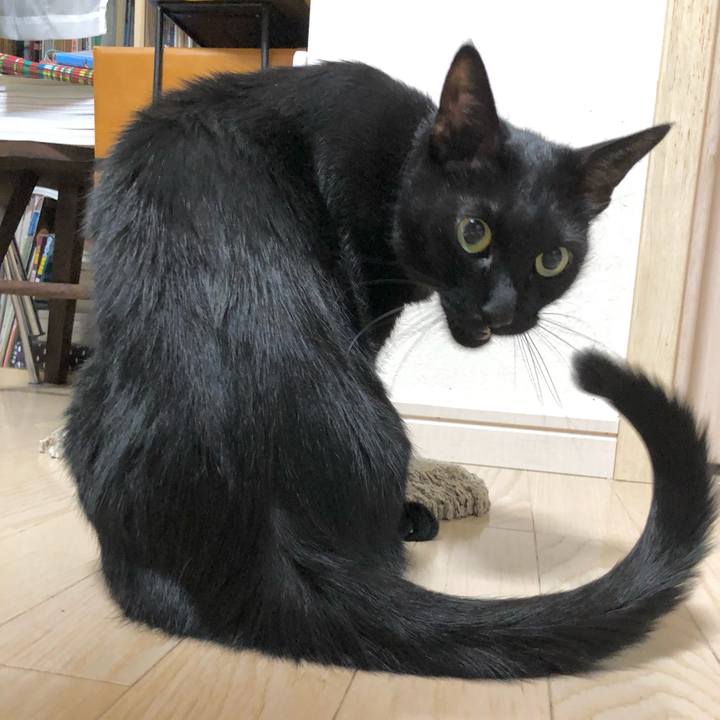 506dcd04 6ba5 4363 a359 7158126d75d4 1629208442450