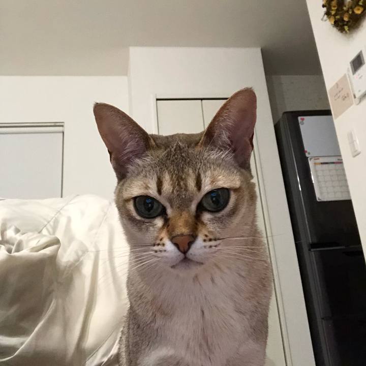 506de80c 873c 4f7d 8e92 5093a0cd0764 1548669515326