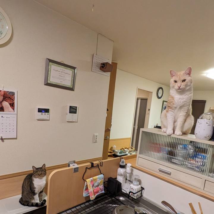 506e4c82 138c 46a3 bd28 e73076c3cbb6 1694776821366