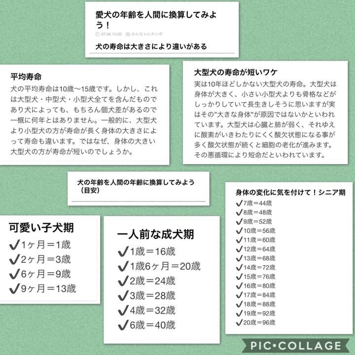 506e588b 5eed 4405 ab93 f17b624cfd20 1530966171061