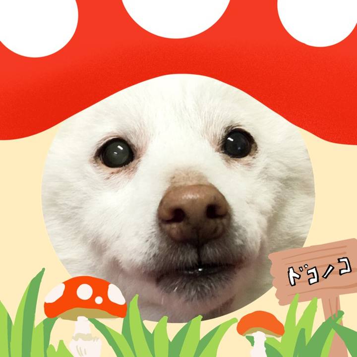 506e71ce e37d 4576 bbc1 3760cd758ff5 1730471867732