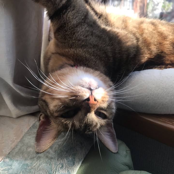 506e83d1 bb79 4792 8953 1723d709e5e4 1574294678446