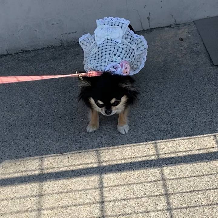 506ec58e 44d0 4697 bc86 c1a570a5da39 1624838014750