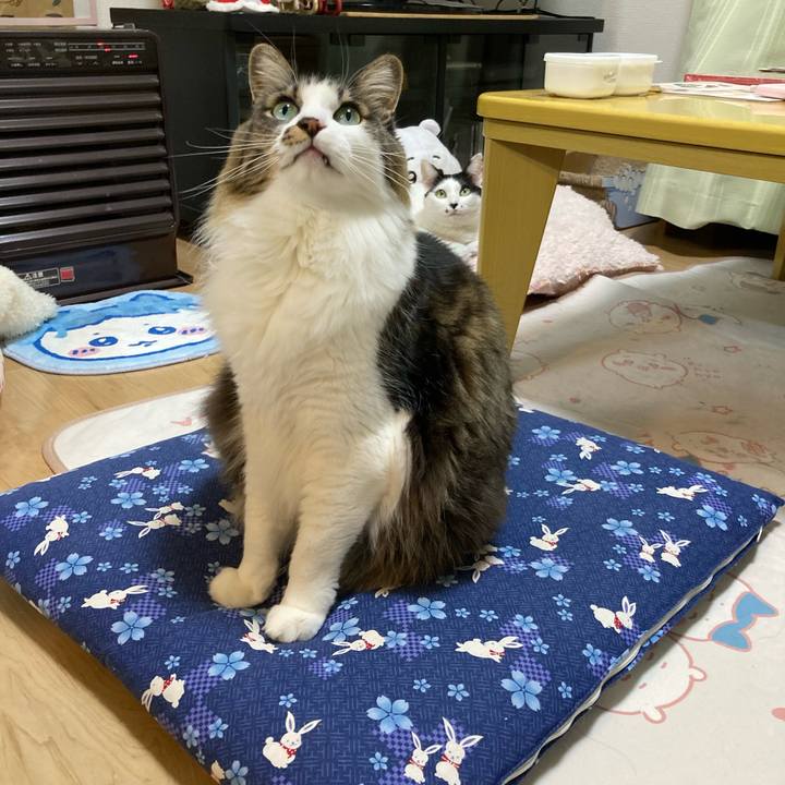 506ee049 4a44 43a8 beb7 76d065b1ea5a 1764325361052