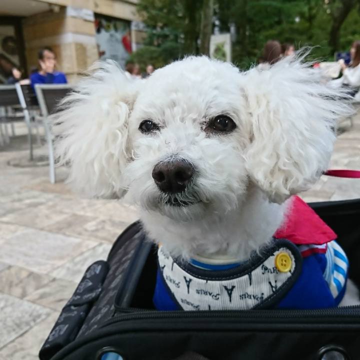 506f30ee 9e74 4771 bb30 edf39eea23ae 1573855364669