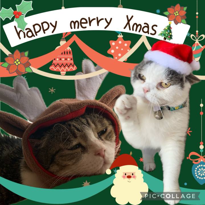 506f46d2 93bf 48f6 817e 22c45f055ebe 1703505823133