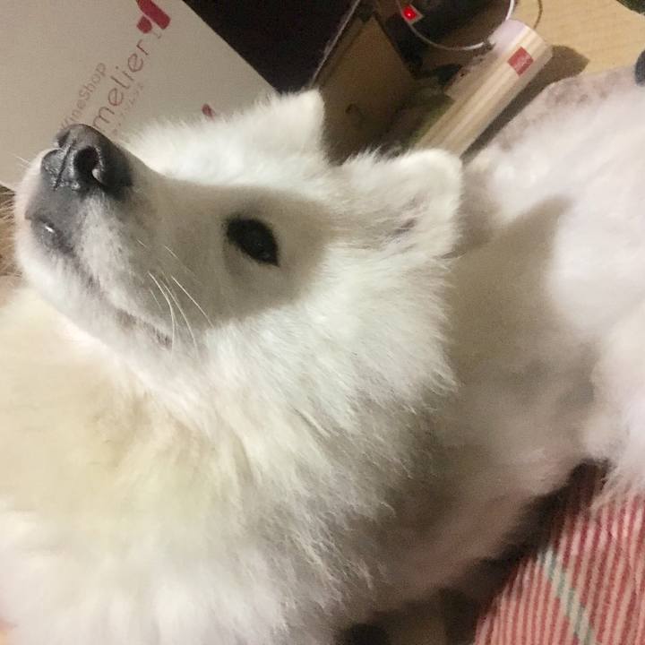 506f5450 76e0 4ce3 95ff 5c481efcfa7e 1543321573734