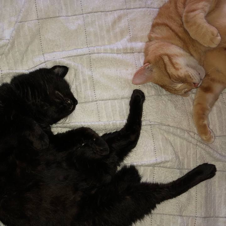 506f7254 9a95 4690 955f d90b38d78b58 1565990256984