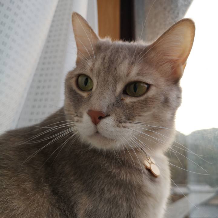 506f765f 87b5 4cd6 99fc 6f4eddfed501 1576569611279