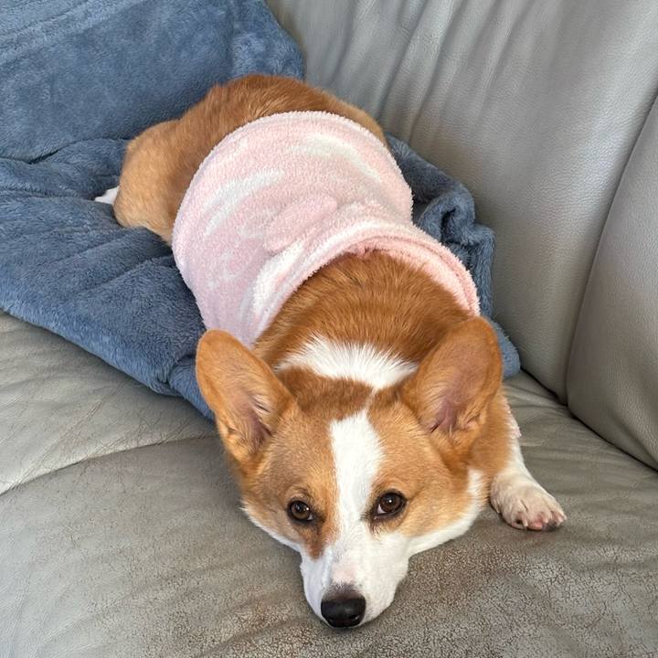 506f7fe9 632f 416e 8a35 62087f92630e 1762213245887