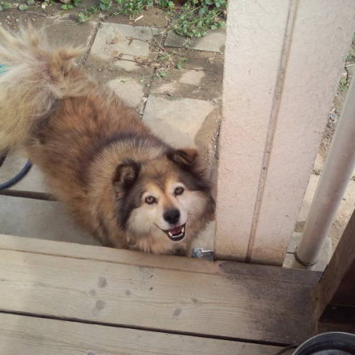 506fef8b 3631 4ba1 ba59 19a17a1cc203 1597182471068