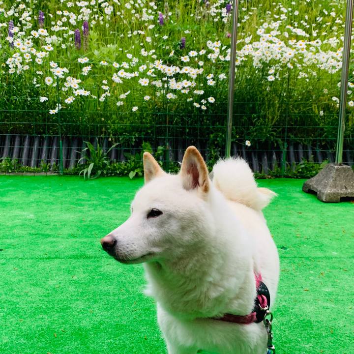 506ffc0a 4322 43cc af7f 8dde84385fee 1592598295557