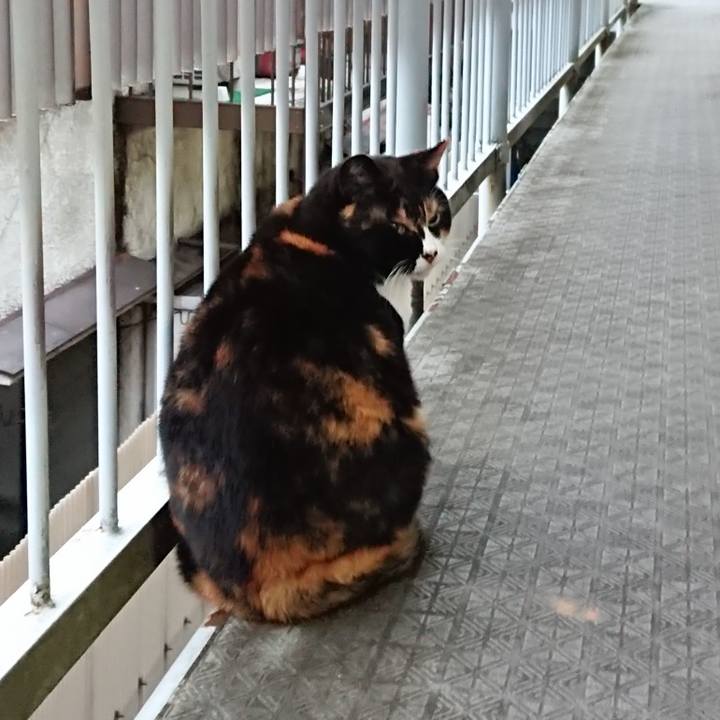 50700f9e 88dd 4e30 bb50 03cc2fb45126 1667596658529