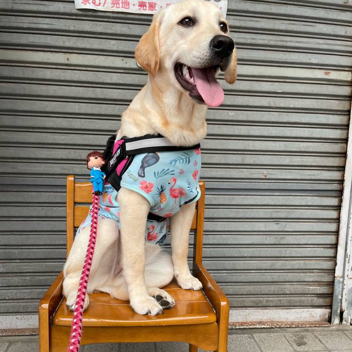 50701855 90f4 4419 a2da d204401d3ed0 1623073904430