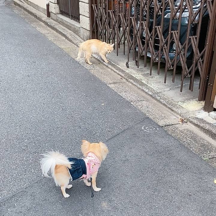 50702cf2 fa32 4fff a444 4bef595c9211 1622206935097