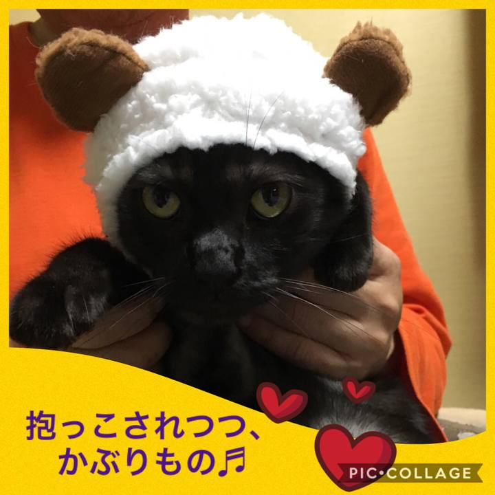 50703f4e c0a0 4e65 af07 e7db10988001 1557198351674