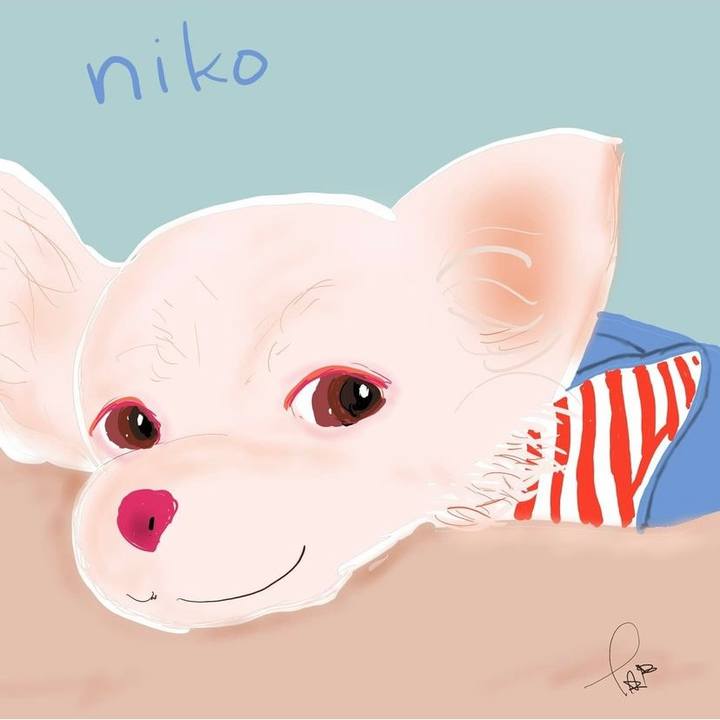 507078a6 bddd 42e1 aa65 6542b955a5b9 1640241908214