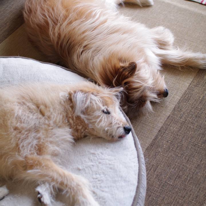 50707fd5 30f8 4bd5 889e 8980ff1a4cdb 1587529043594