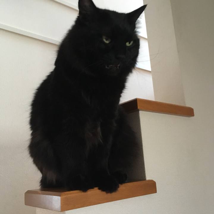 507086d4 a957 46a5 bbe1 439fefd4e8e9 1531204033324