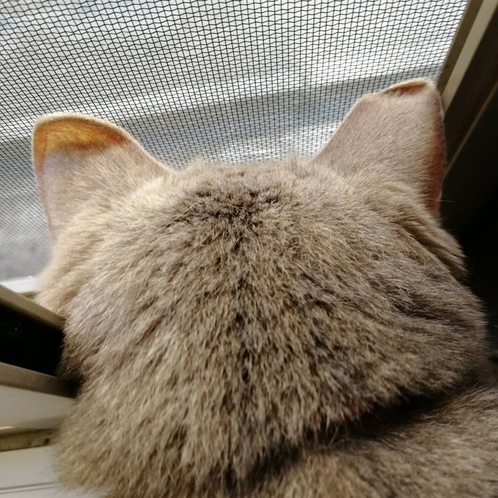 5070a645 4d9f 4346 bc09 fb6b706f9ac5 1535943306232