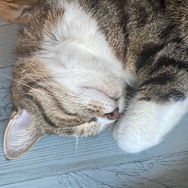 5070e20c 0c4e 4f32 b615 99d0f4b25e96 1626658028235