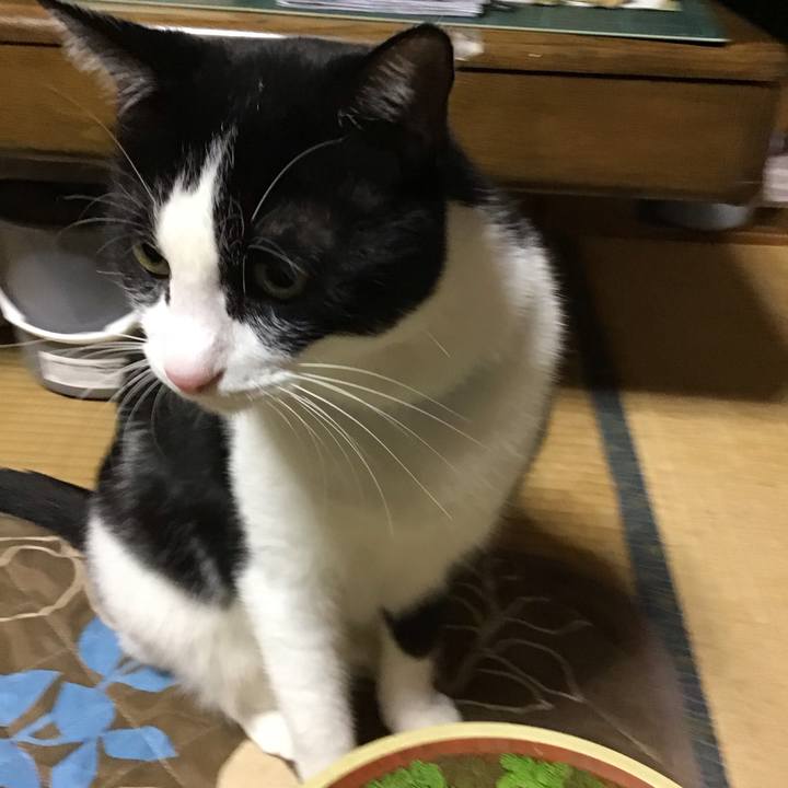 5070e713 3147 4904 846a 20112fd85e02 1697281992079