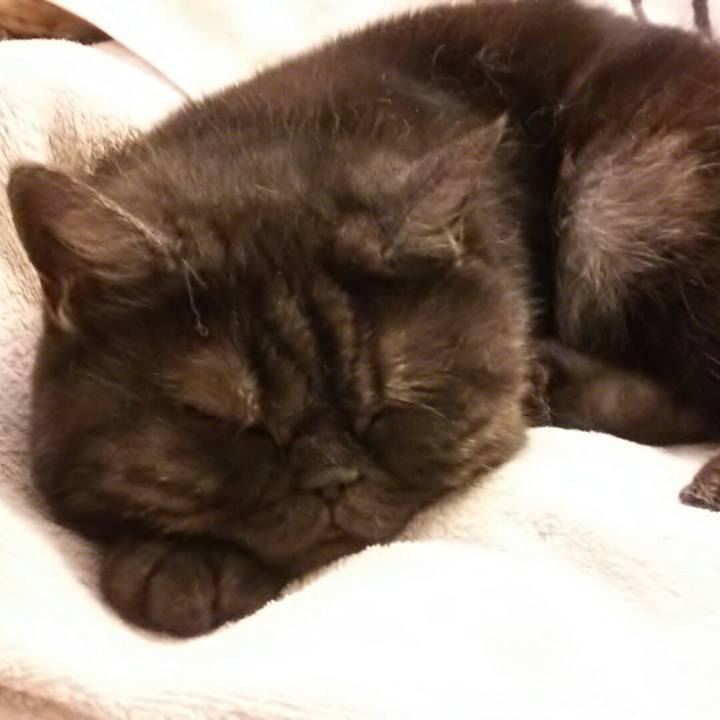 50710123 f3ea 4a30 b879 24a9115e5d9d 1525572325217