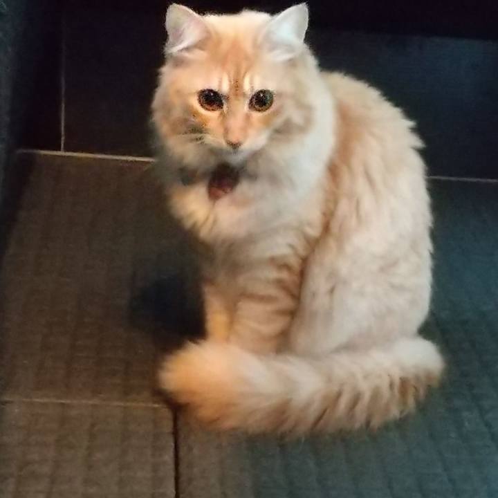 50712539 d437 4d0d 9a7c df16f9be5248 1634507541271