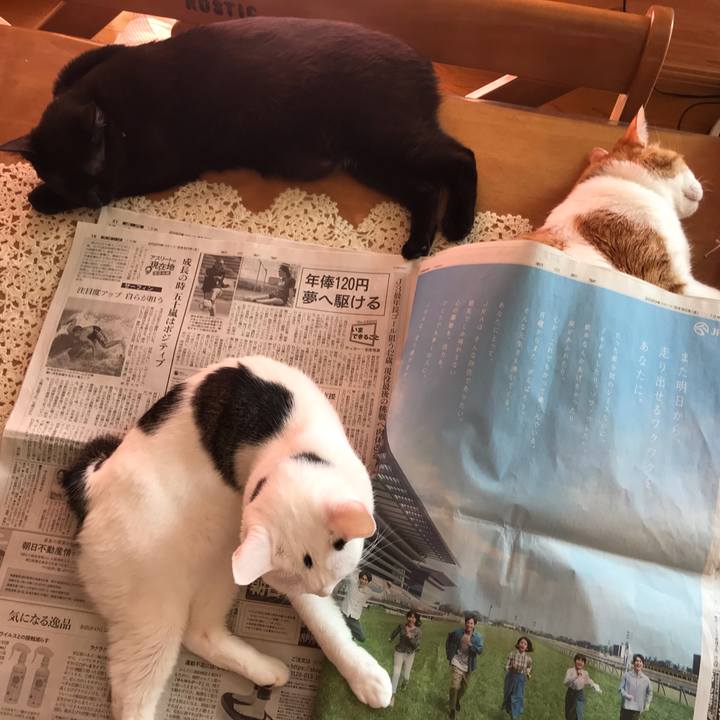 50717111 4ae5 46fa 9162 041d57ff06a8 1590796662206