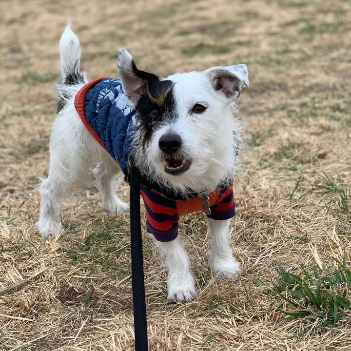 5071a1b8 4b23 4e0f 9f98 3561491cbe2b 1549329018774