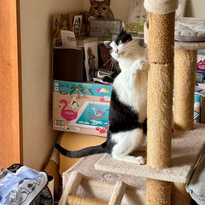 5071ae7d 3849 4137 8eb1 3a43d60cca43 1760275421563