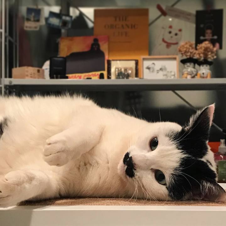 5071b35d 4903 4c49 a3b8 03f31be34497 1522283843668